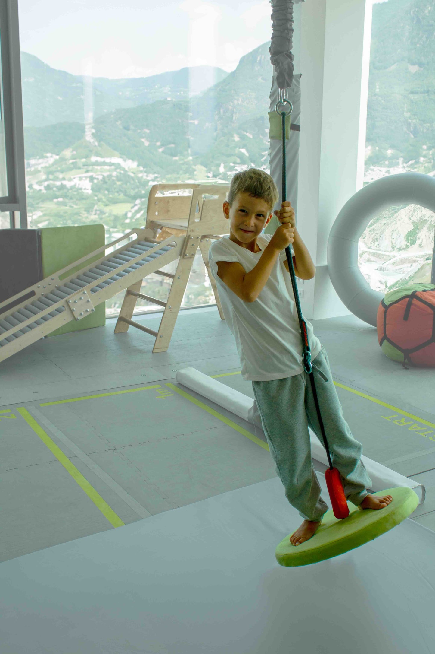 Disc swing