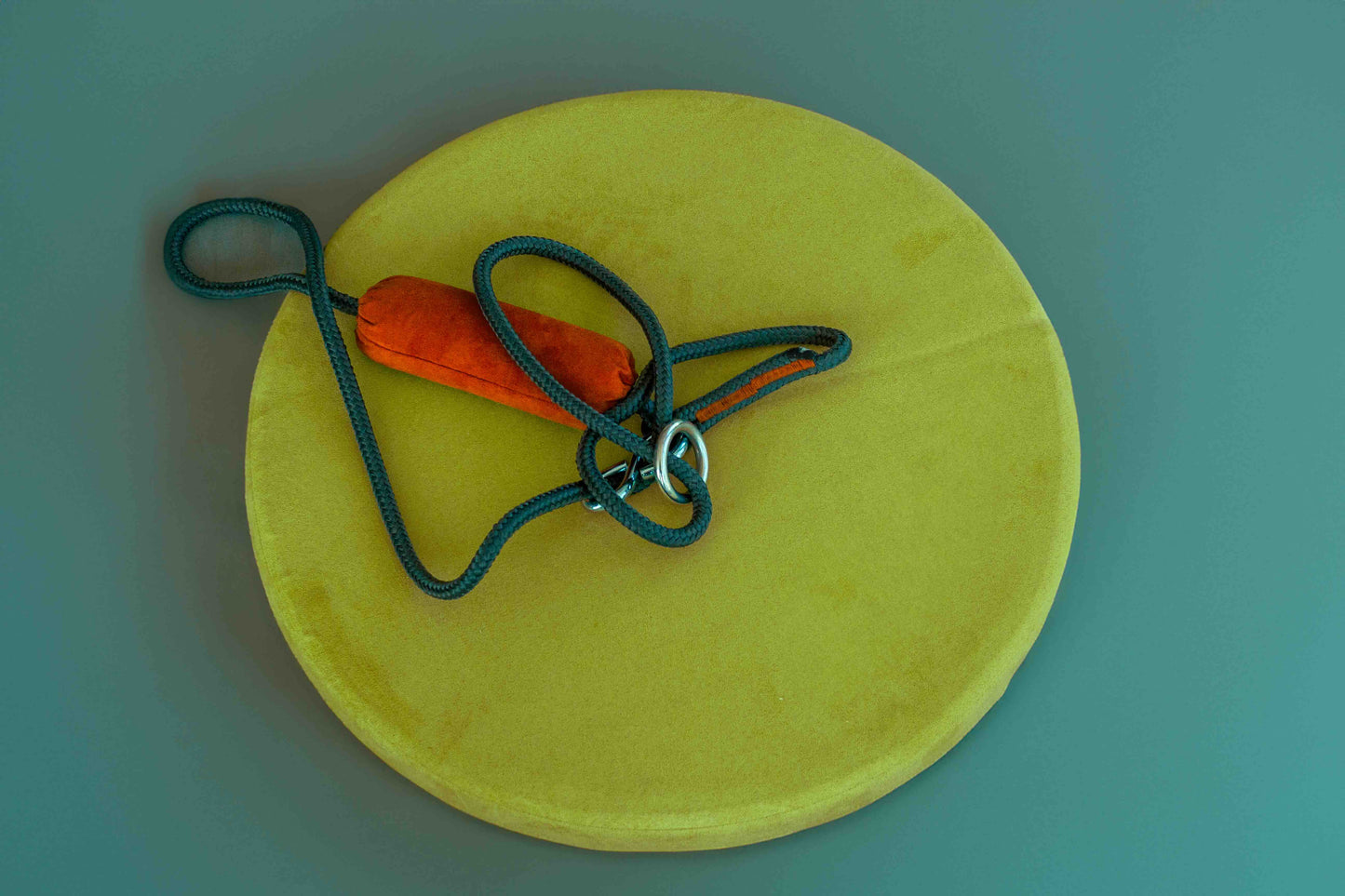 Disc swing